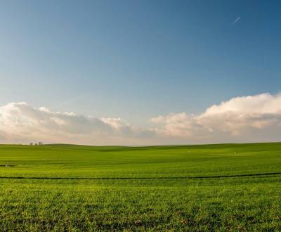 Sale Land – for living, Land – for living, Adyho, Dunajská Streda, Slo