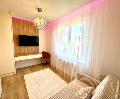 Rent Single studio, Single studio, Martinčekova, Bratislava - Ružinov,