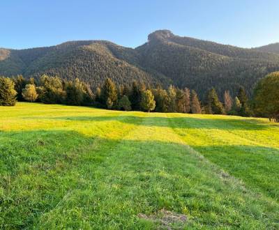 Sale Agrarian and forest land, Agrarian and forest land, Žilina, Slova