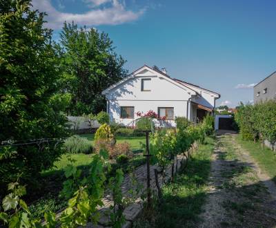 Sale Family house, Family house, Novozámocká, Nové Zámky, Slovakia