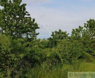 Sale Agrarian and forest land, Agrarian and forest land, Pezinok, Slov