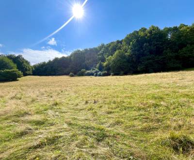 Sale Land – for living, Land – for living, Žilina, Slovakia