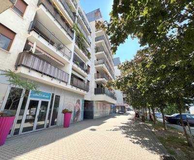 Sale Two bedroom apartment, Two bedroom apartment, Drieňová, Bratislav