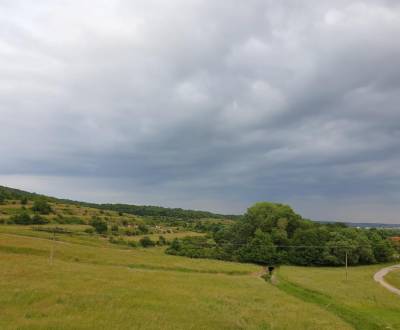 Sale Agrarian and forest land, Agrarian and forest land, Trnava, Slova