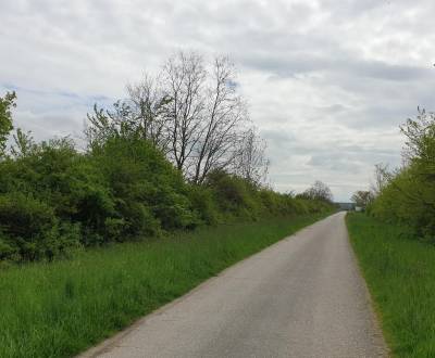 Sale Agrarian and forest land, Agrarian and forest land, Pezinok, Slov