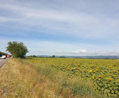 Sale Agrarian and forest land, Agrarian and forest land, Senecká cesta