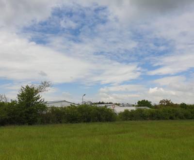 Sale Agrarian and forest land, Agrarian and forest land, Pezinok, Slov