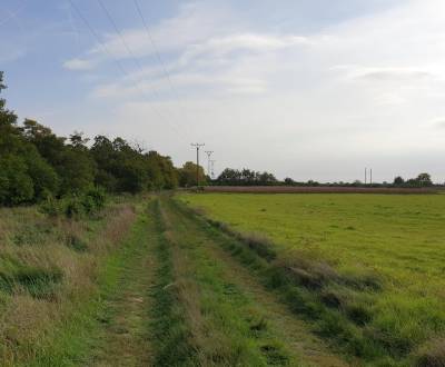 Sale Recreational land, Recreational land, Potočná, Pezinok, Slovakia