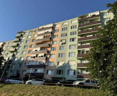 Sale One bedroom apartment, One bedroom apartment, Boženy Němcovej, Ve