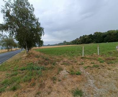 Sale Land plots - commercial, Land plots - commercial, Topoľčany, Slov