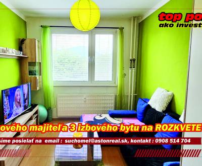 Sale Two bedroom apartment, Two bedroom apartment, ROZKVET, Považská B