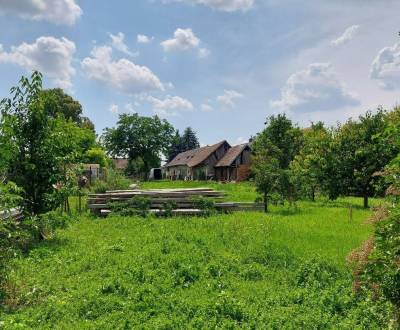 Sale Family house, Family house, Dunajská Streda, Slovakia