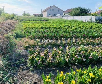 Sale Land – for living, Senec, Slovakia