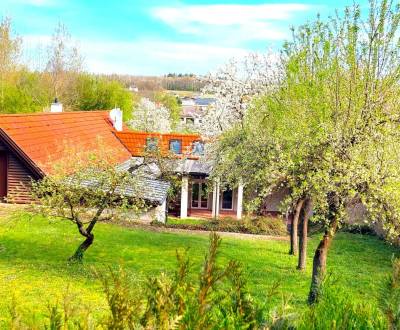 Sale Family house, Family house, Neusiedl am See, Austria