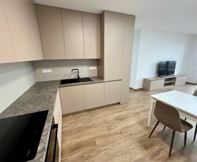 Sale One bedroom apartment, One bedroom apartment, Mateja Encingera, B