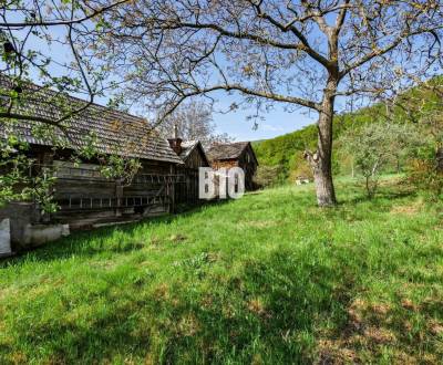 Sale Family house, Family house, Hrabcova cesta, Žarnovica, Slovakia