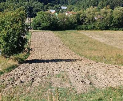 Sale Agrarian and forest land, Agrarian and forest land, Šurabová, Pov