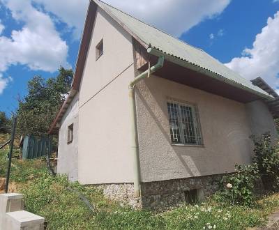 Sale Cottage, Cottage, Vinohrady, Nové Mesto nad Váhom, Slovakia