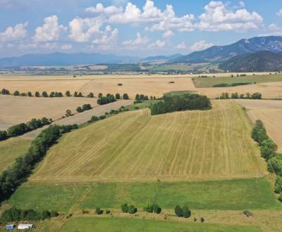 Sale Agrarian and forest land, Agrarian and forest land, Mošovce, Turč