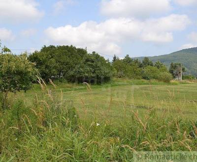 Sale Agrarian and forest land, Agrarian and forest land, Bardejov, Slo