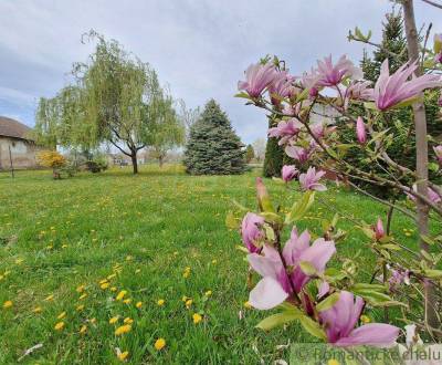 Sale Gardens, Gardens, Nové Zámky, Slovakia