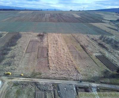 Sale Agrarian and forest land, Agrarian and forest land, Snina, Slovak