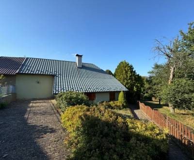 Sale Family house, Family house, Nové Mesto nad Váhom, Slovakia