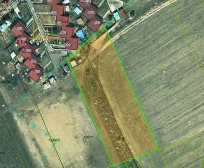 Sale Agrarian and forest land, Agrarian and forest land, Vranov nad To