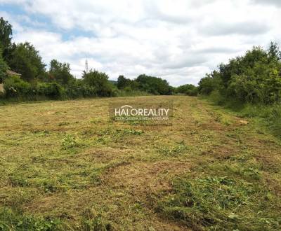 Sale Land – for living, Nitra, Slovakia