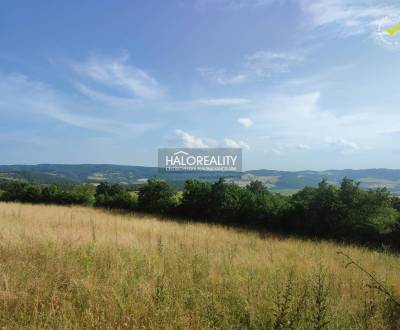 Sale Land – for living, Zvolen, Slovakia