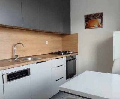 Rent One bedroom apartment, One bedroom apartment, Mudroňova, Košice -