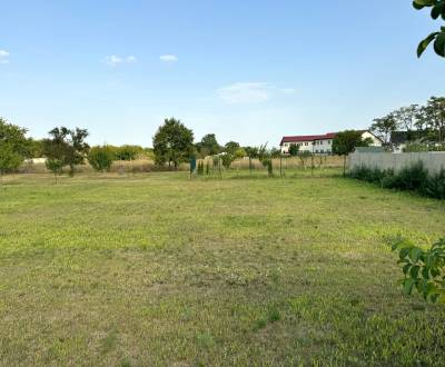 Sale Land – for living, Land – for living, Kolónia, Dunajská Streda, S