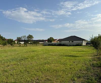 Sale Land – for living, Land – for living, Kolónia, Dunajská Streda, S