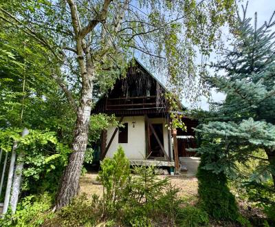 Sale Cottage, Cottage, Nové Mesto nad Váhom, Slovakia