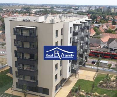 Rent Single studio, Single studio, Františka Kubu, Bratislava - Rača, 