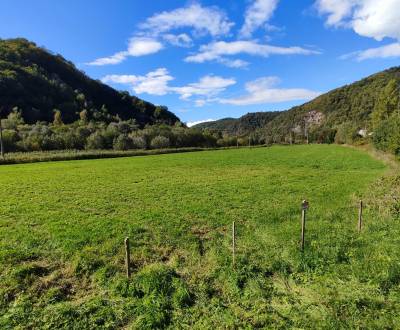 Sale Agrarian and forest land, Agrarian and forest land, Žiar nad Hron