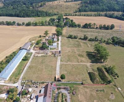 Sale Agrarian and forest land, Agrarian and forest land, Mošovce, Turč