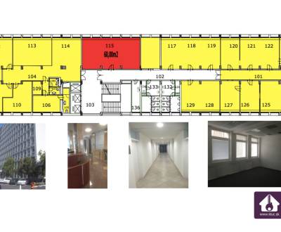 Modern Offices from 19m2 to an Entire Floor (600m2)