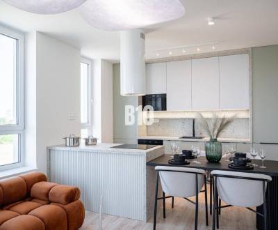 Rent Two bedroom apartment, Two bedroom apartment, Bratislava - Petrža