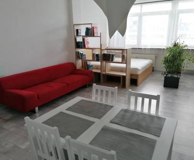 RESERVED Generous 1room apt 58m2, renovated, good location