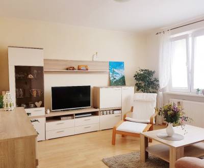 Sale Two bedroom apartment, Two bedroom apartment, Krásnohorská, Brati