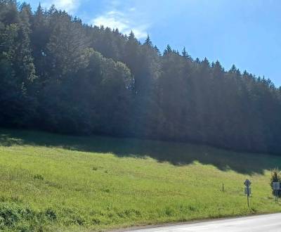 Sale Agrarian and forest land, Agrarian and forest land, Považská Byst