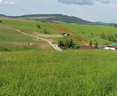 Sale Recreational land, Recreational land, Brezany, Žilina, Slovakia