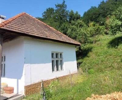 Sale Family house, Family house, Veľký Krtíš, Slovakia