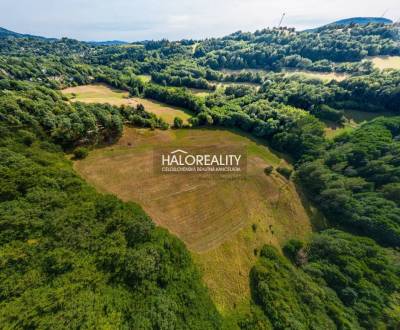 Sale Recreational land, Banská Štiavnica, Slovakia