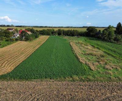 Sale Land – for living, Komárno, Slovakia