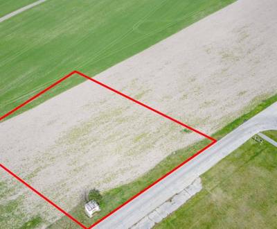 Sale Agrarian and forest land, Dunajská Streda, Slovakia