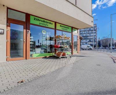 Sale Commercial premises, Dunajská Streda, Slovakia