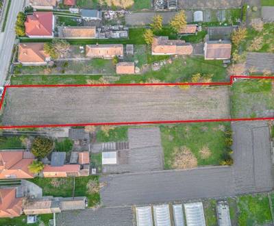 Sale Land – for living, Dunajská Streda, Slovakia