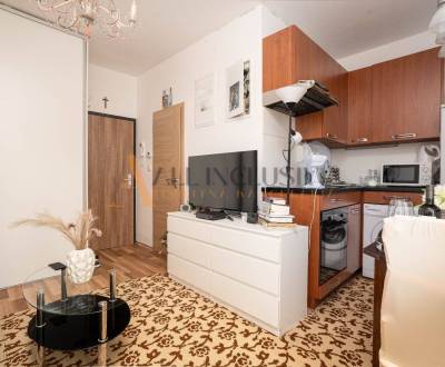 Sale Single studio, Single studio, Antolská, Bratislava - Petržalka, S